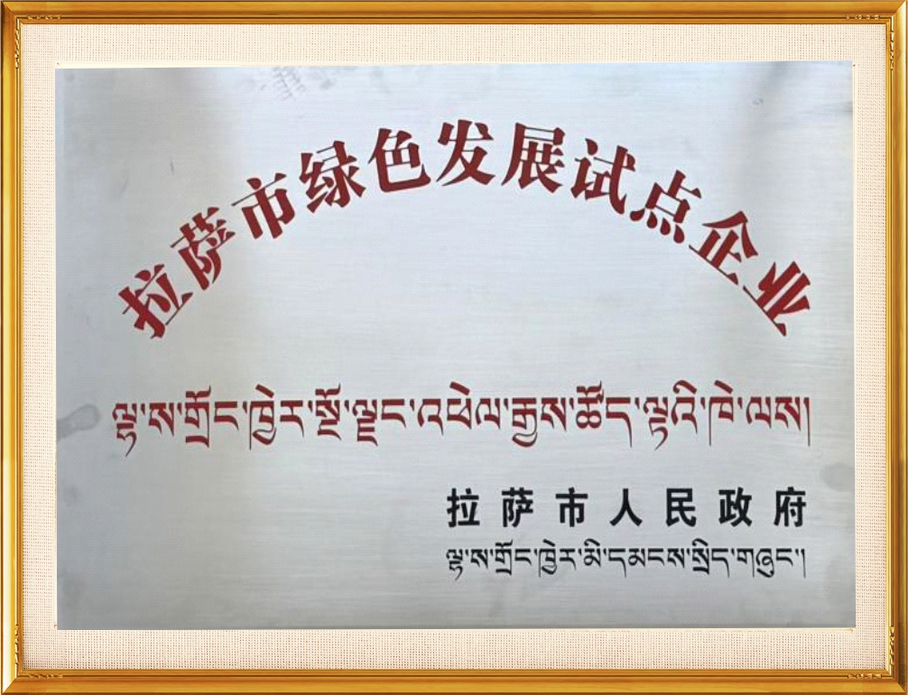 拉萨市绿色发展试点企业证书